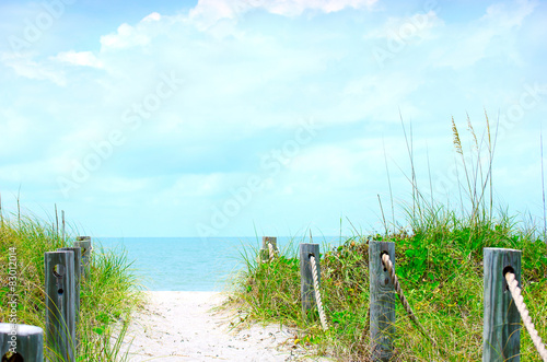 Beautiful beach path scene with sea oats
