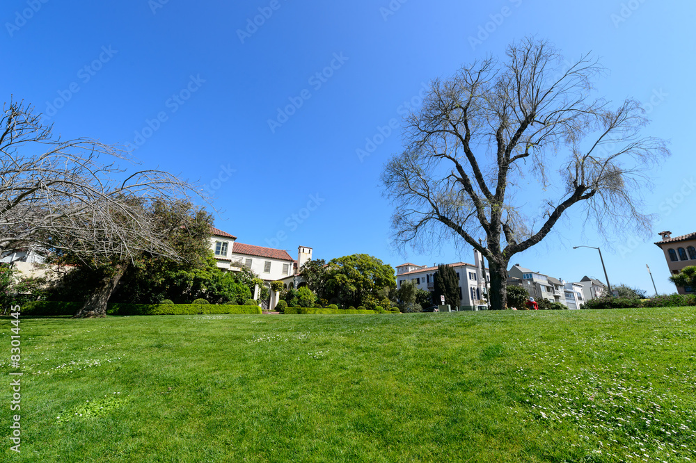 Obraz premium Green grass field