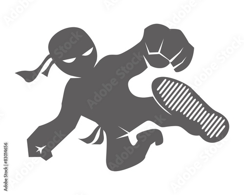 ninja kick
