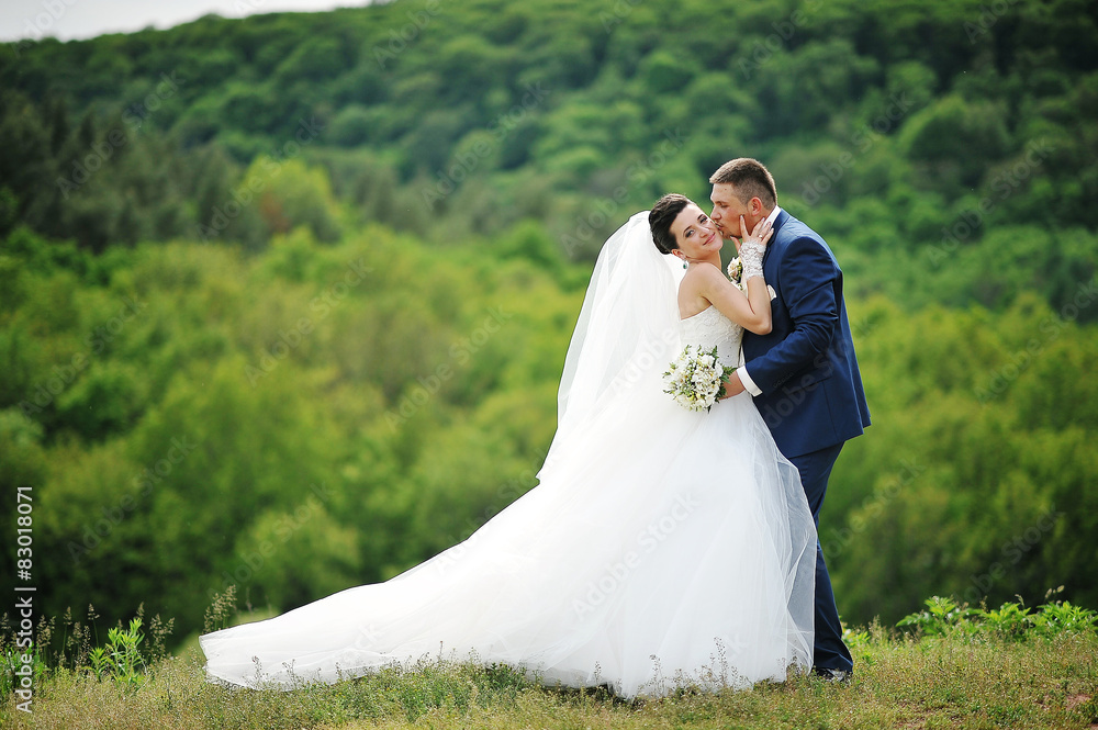 beautiful wedding couple kissing at the mountain