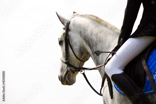 Fototapeta Naklejka Na Ścianę i Meble -  horse racing