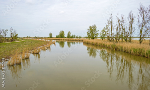 The shore of a river in spring