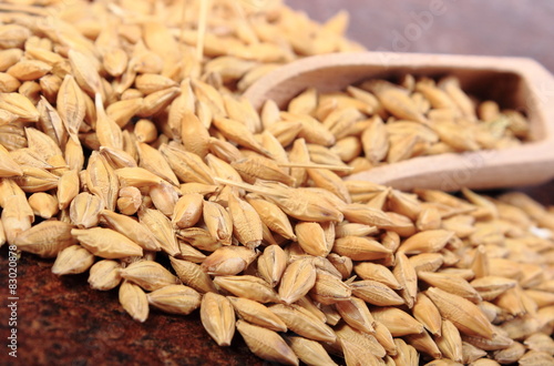 Heap of barley grain with wooden spoon