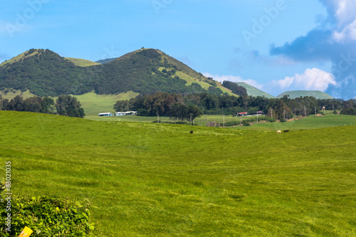 Fields along Kohala Mountain Road in Big Island, Hawaii