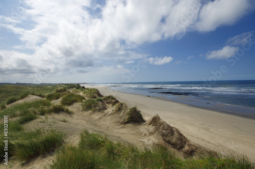 Dune and beach on the north of Portugal