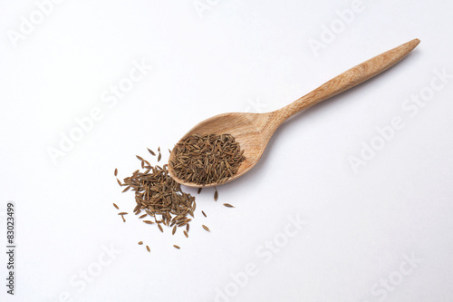 Dry fennel seed in wooden spoon with space on white background