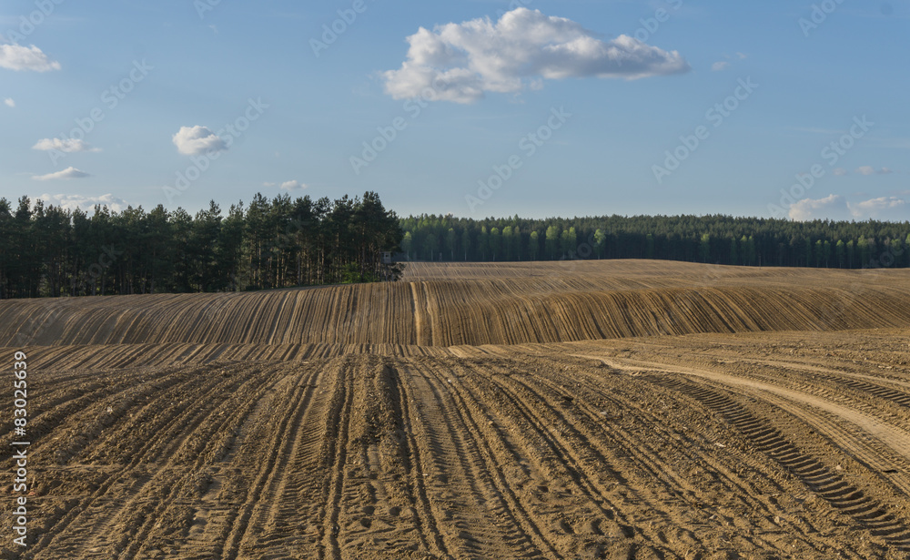 Furrows in plowed field in hilly terrain in spring - landscape
