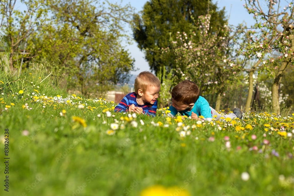Fototapeta premium Boys and flowers.