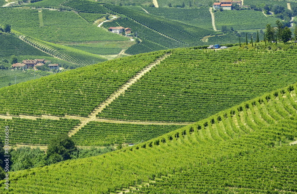 Summer landscape in Langhe (Italy) Summer landscape in Langhe (Italy)