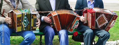 Playing the accordion photo