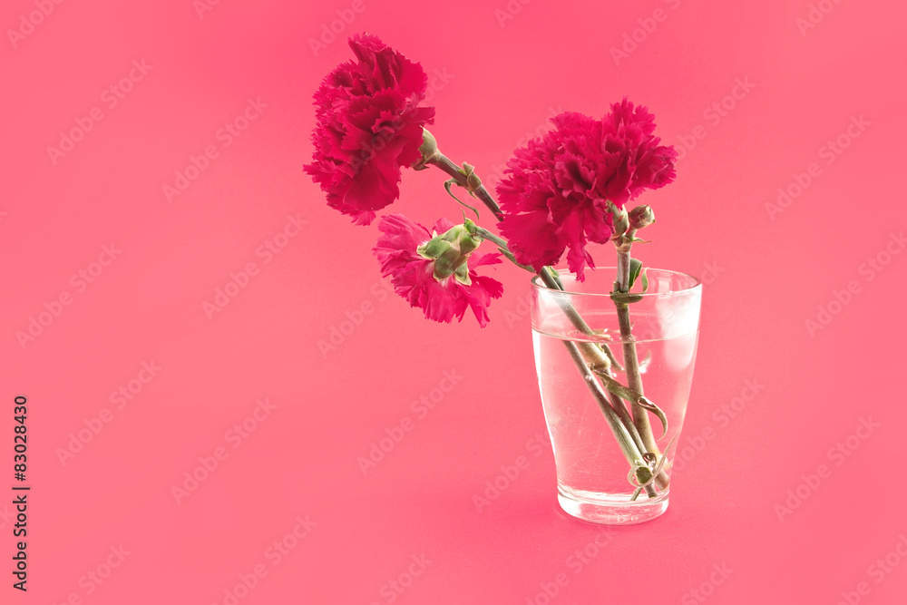 Obraz premium Red carnations in vase on a red background. Greeting card.