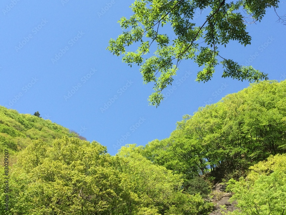 山 山