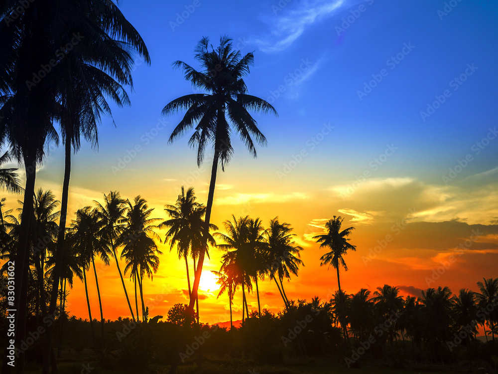 silhouette of palm trees on colorful sky