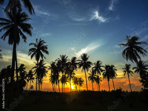 silhouette of palm trees on colorful sky
