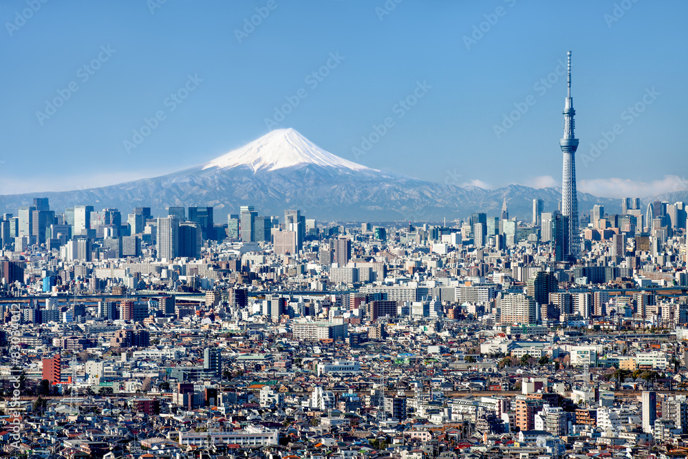 Naklejka premium Tokyo Skyline z Mount Fuji i Shooting Tree
