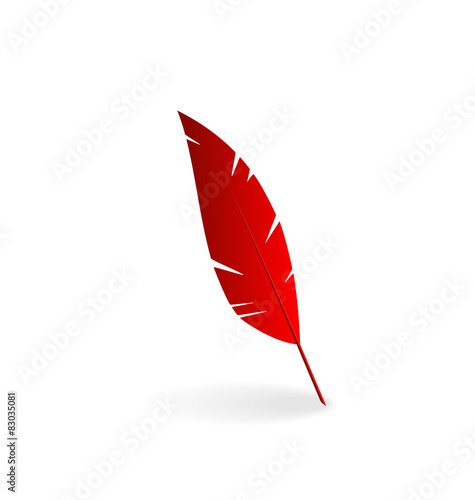 Red feather isolated on white background