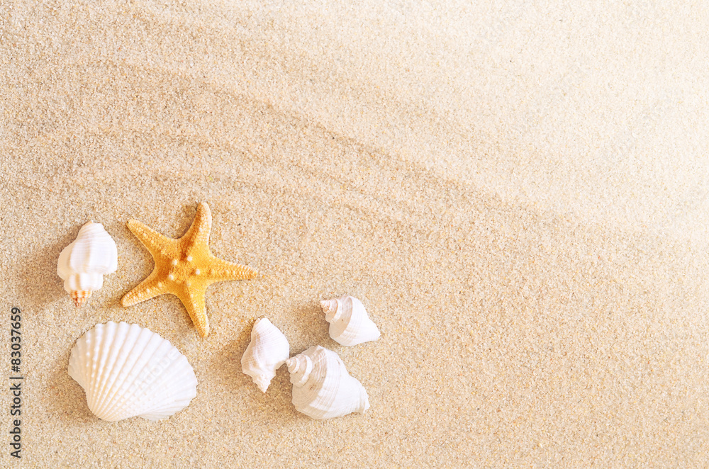 Summer beach. Starfish and shells on the beach. Summer beach. Starfish and shells on the beach.
