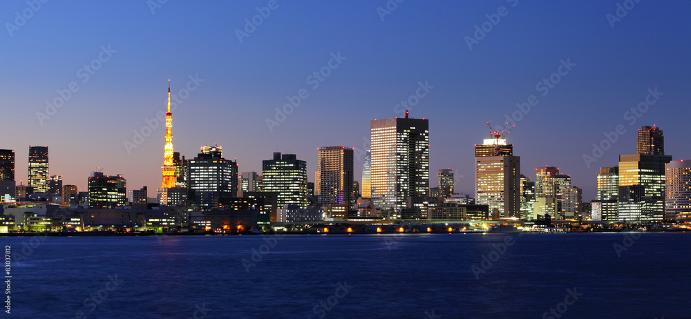 Fototapeta premium Tokyo city