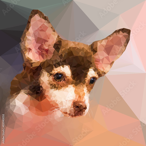 Low poly geometric portrait of chihuahu dog photo