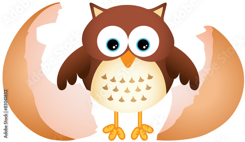 Little Owl
