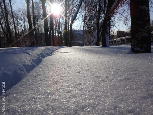 Снег в парке под солнцем