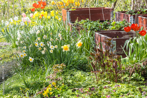 Garden with many types of f...