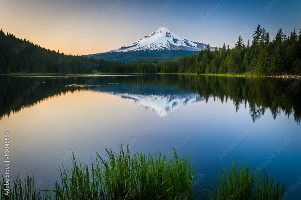 Fototapeta premium Grasses and Mount Hood reflecting in Trillium Lake at sunset, in