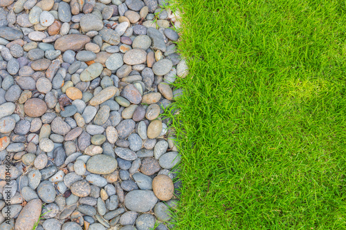 Fresh spring green grass with rock