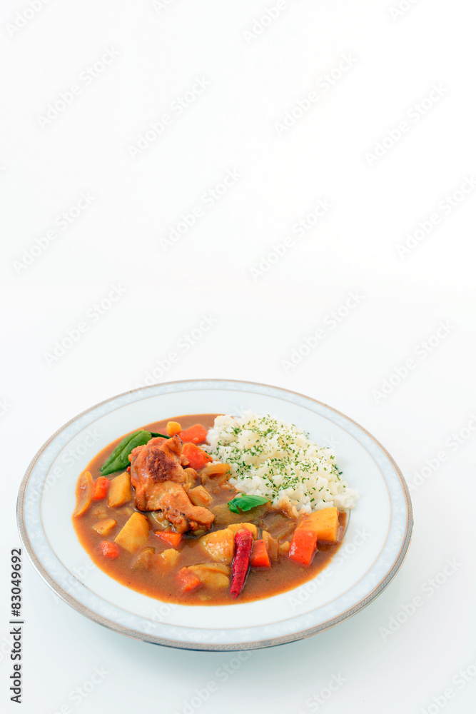 美味しそうなカレーライス 美味しそうなカレーライス