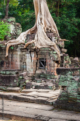 Preah Khan temple, Angkor area, Siem Reap, Cambodia photo