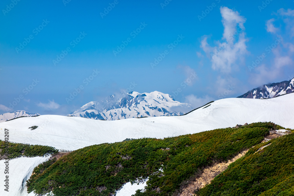 Fototapeta premium 立山連峰