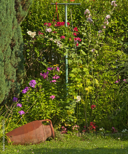Flowers in the garden