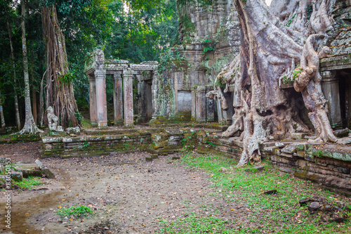 Tree root overgrowing parts of ancient Preah Khan Temple at angk