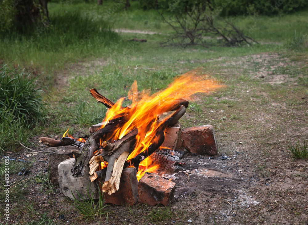 Bonfire in the spring forest. coals of fire Bonfire in the spring forest. coals of fire