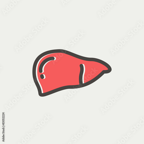Human liver thin line icon