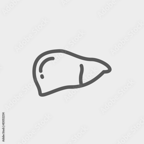 Human liver thin line icon