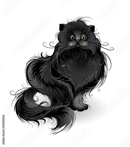 fluffy black cat