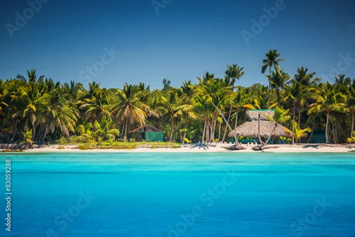 Obraz Karaibska dzika plaża, Punta Cana