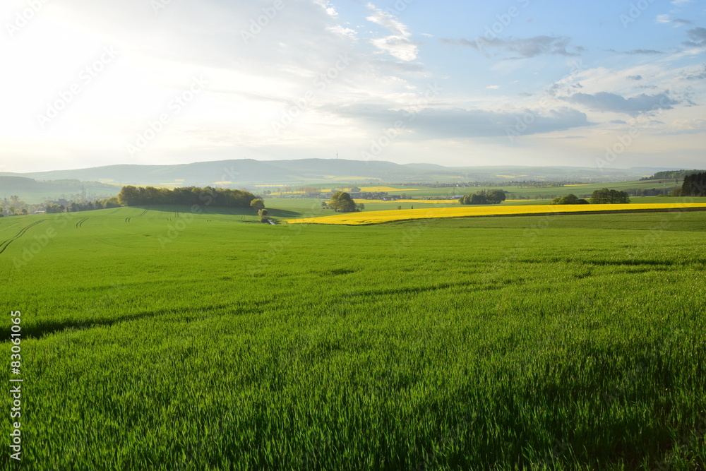 Obraz premium Frühlingsmorgen 