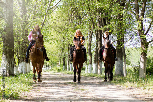 Group of woman horse riders in the forest on sunny day © V&P Photo Studio