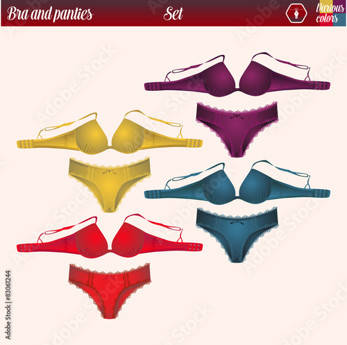 bra and panties set, vector