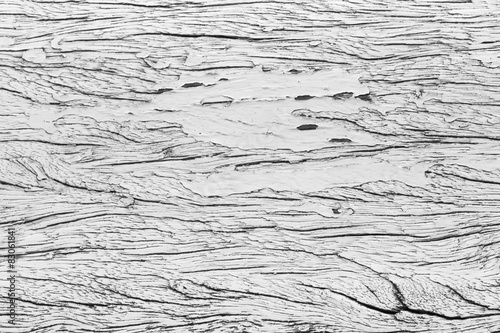 Background texture of old white painted wooden.