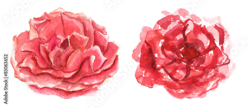 Two watercolor roses on white background © laplateresca