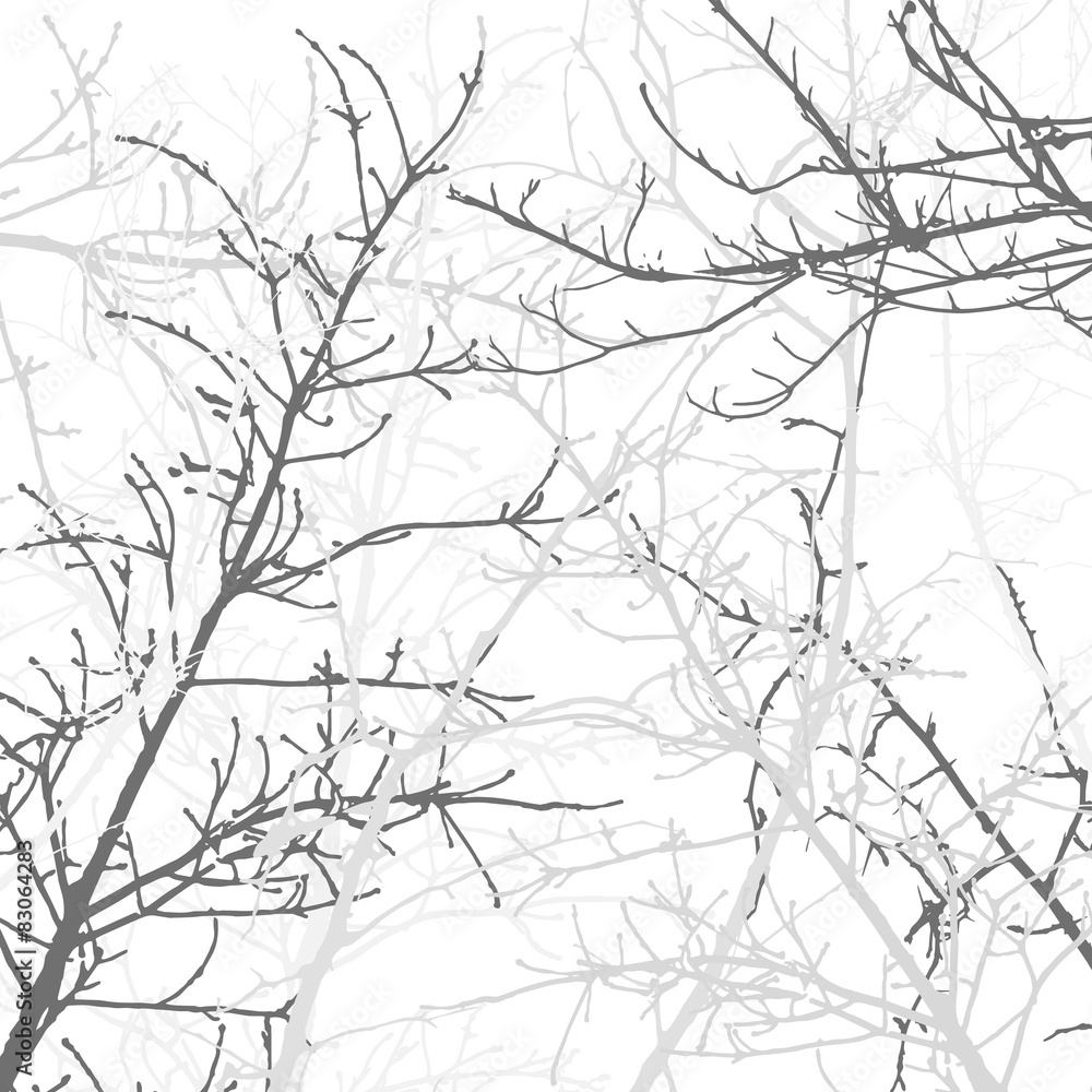 Fototapeta premium Tree Branches Background Pattern. Vector illustration.
