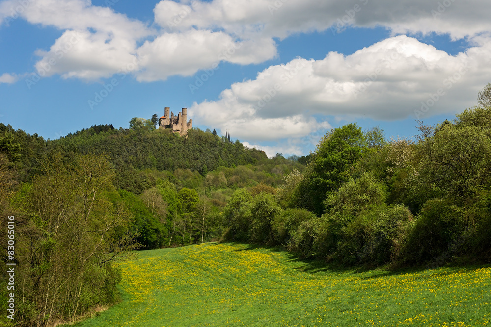 German landscape - castle ruin
