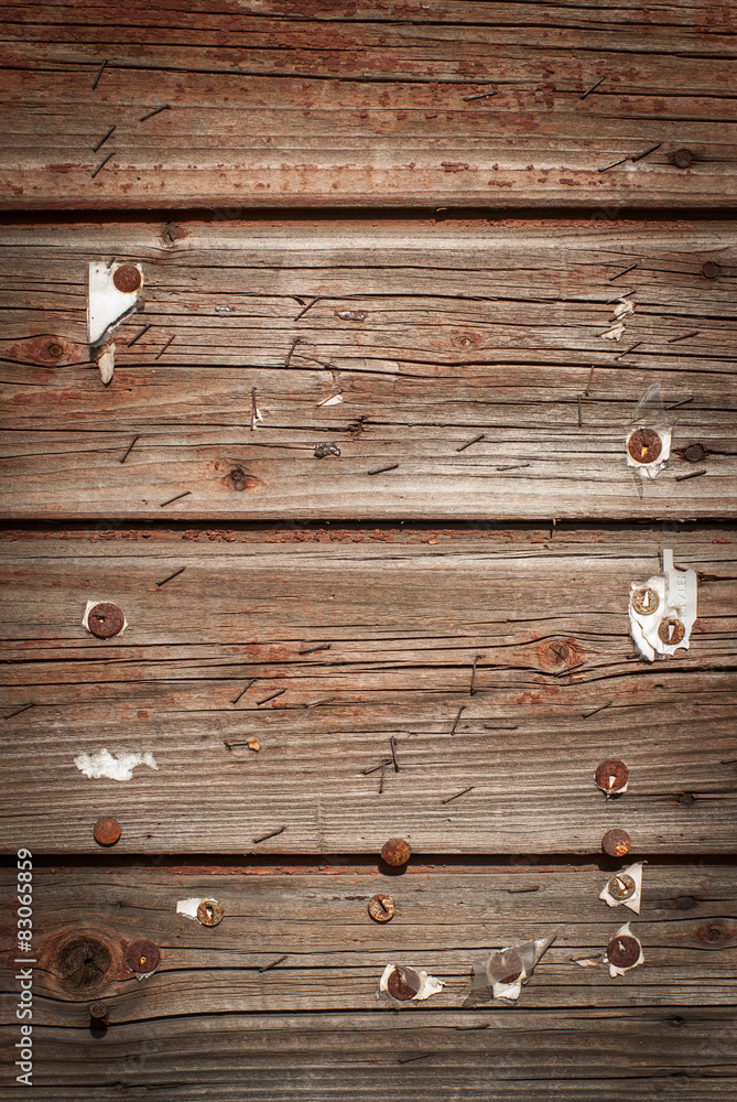 Obraz premium grunge wood texture