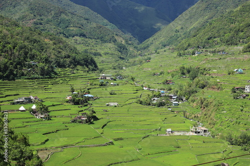 Reisfelder im Tal von Hapao, Ifugao, Kordilleren, Philippinen photo