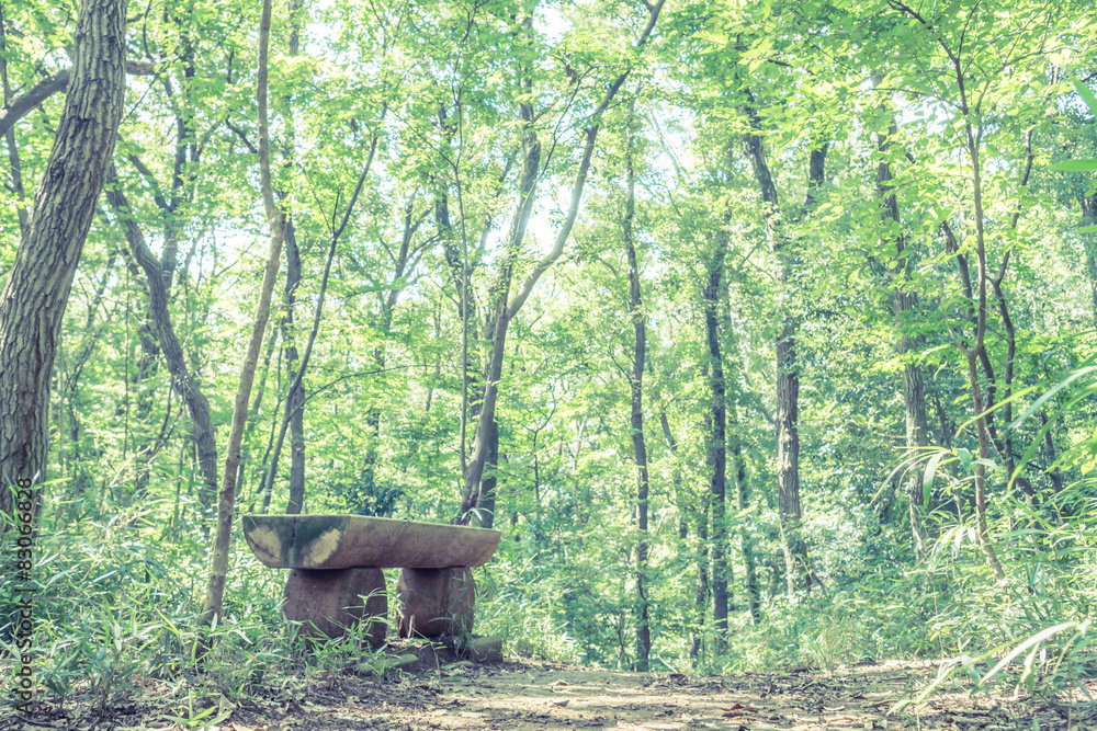 Scenery with the bench