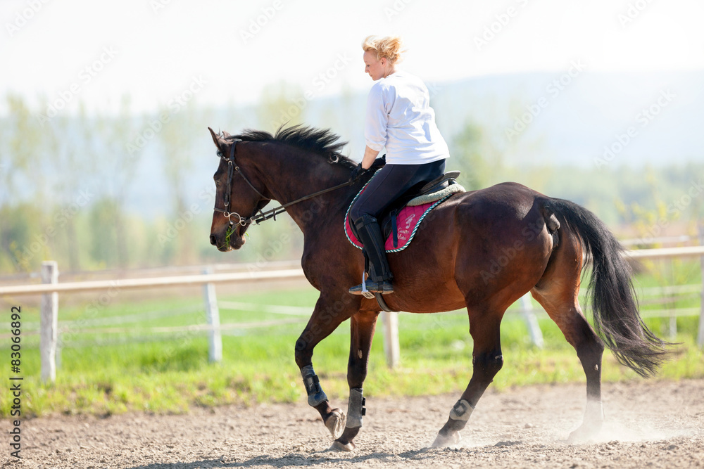 Beautiful blonde woman riding a horse Beautiful blonde woman riding a horse