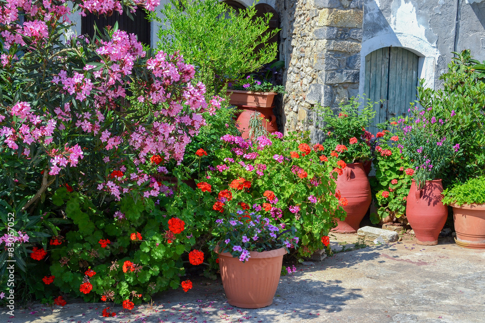 Plant pots with flowers and an oleander in Greece in Sissi on Cr